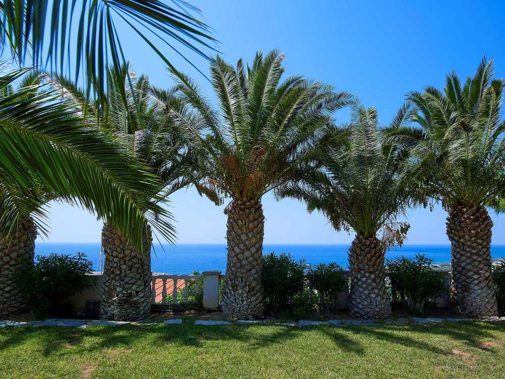 Aroma Creta Hotel คูตซูนารี ภายใน รูปภาพ