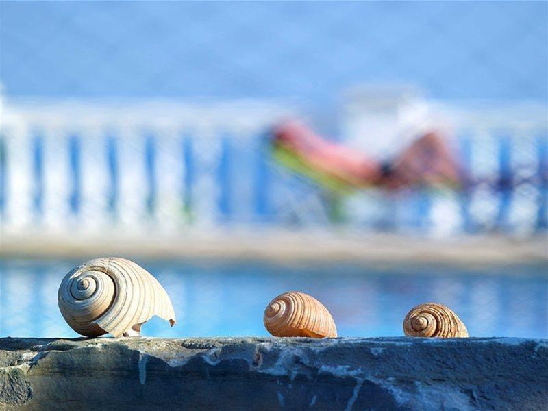 Aroma Creta Hotel คูตซูนารี ภายนอก รูปภาพ